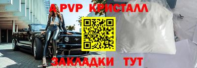 амф Гусев