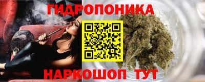 хмурый Гай
