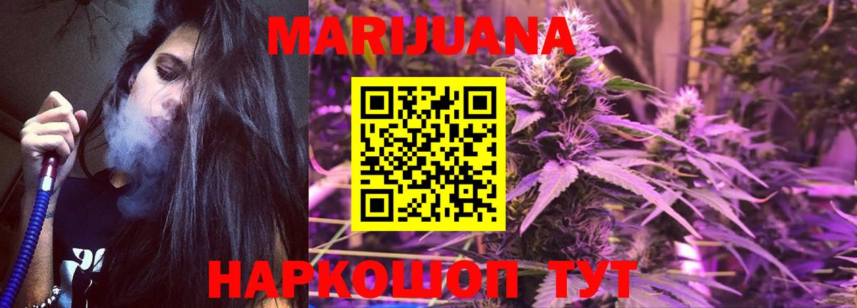Каннабис сатива Миасс